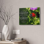 Ladybug | Canvas