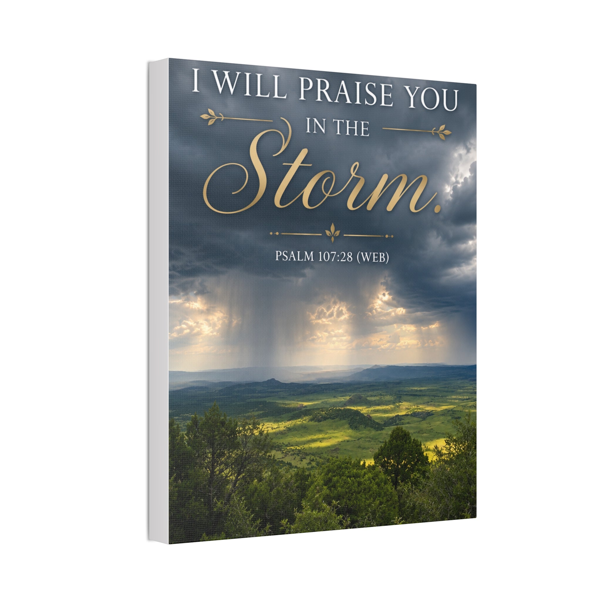 Praise in the Storm | Canvas