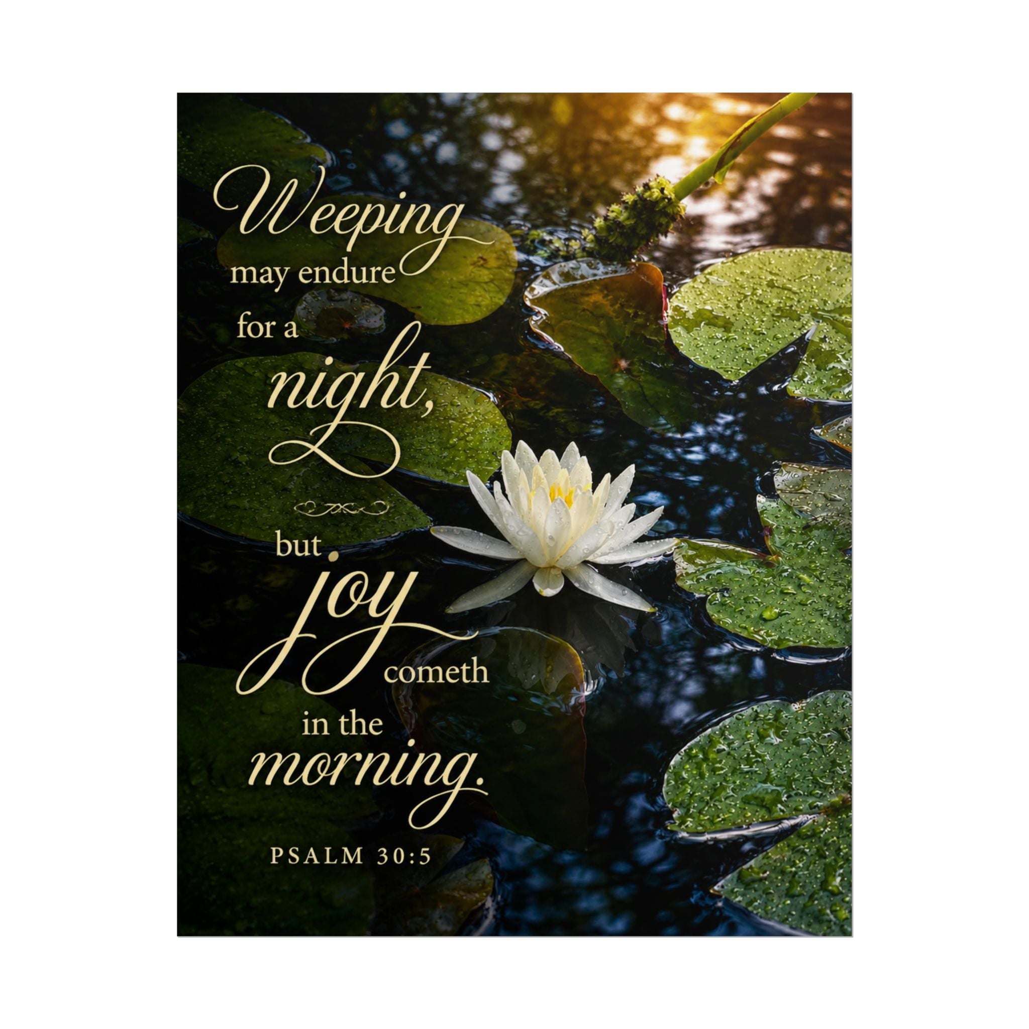 Joy in the Morning Poster