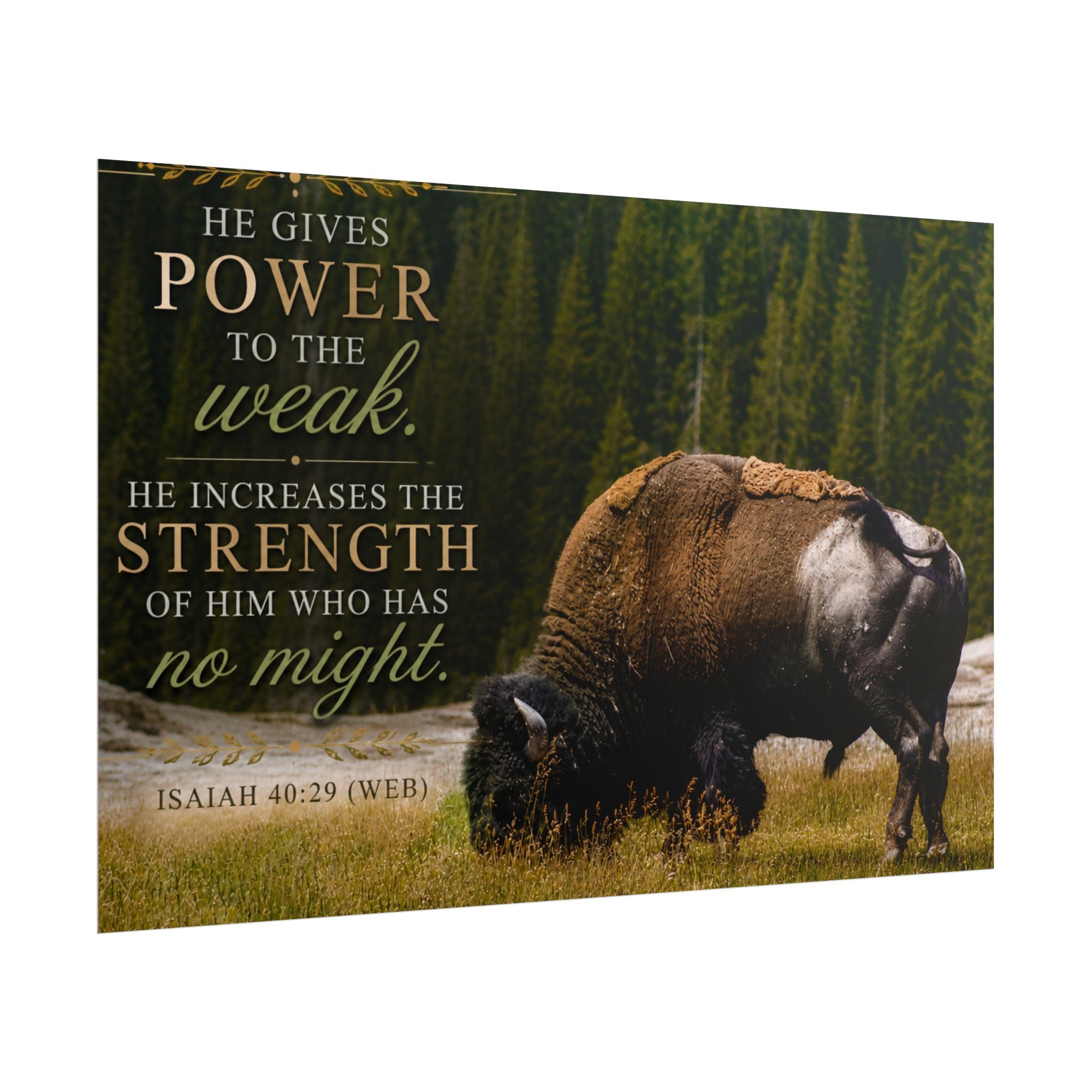 Strength Bison | Poster