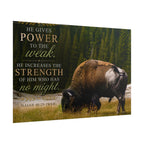 Strength Bison | Poster