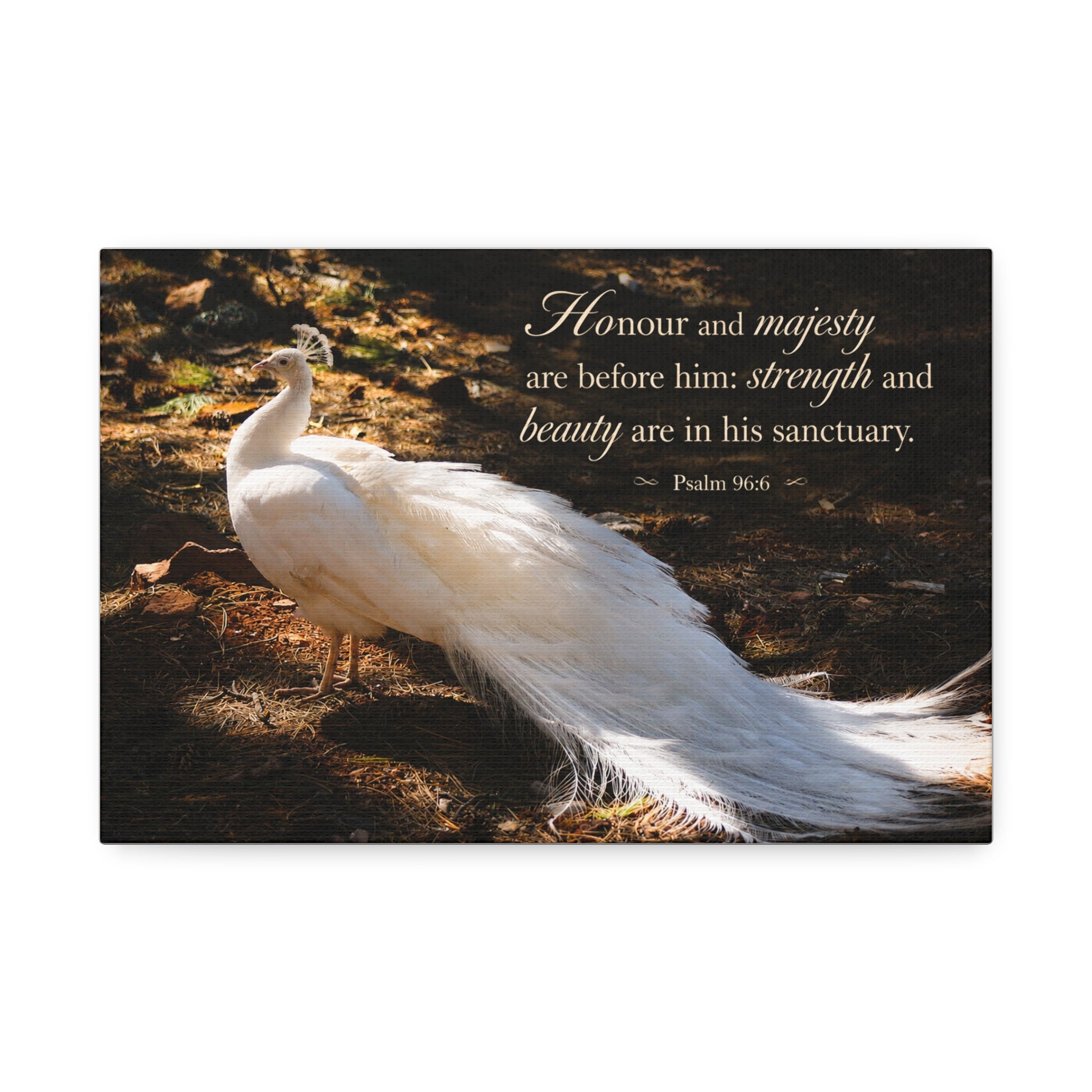 Honor & Majesty | Canvas