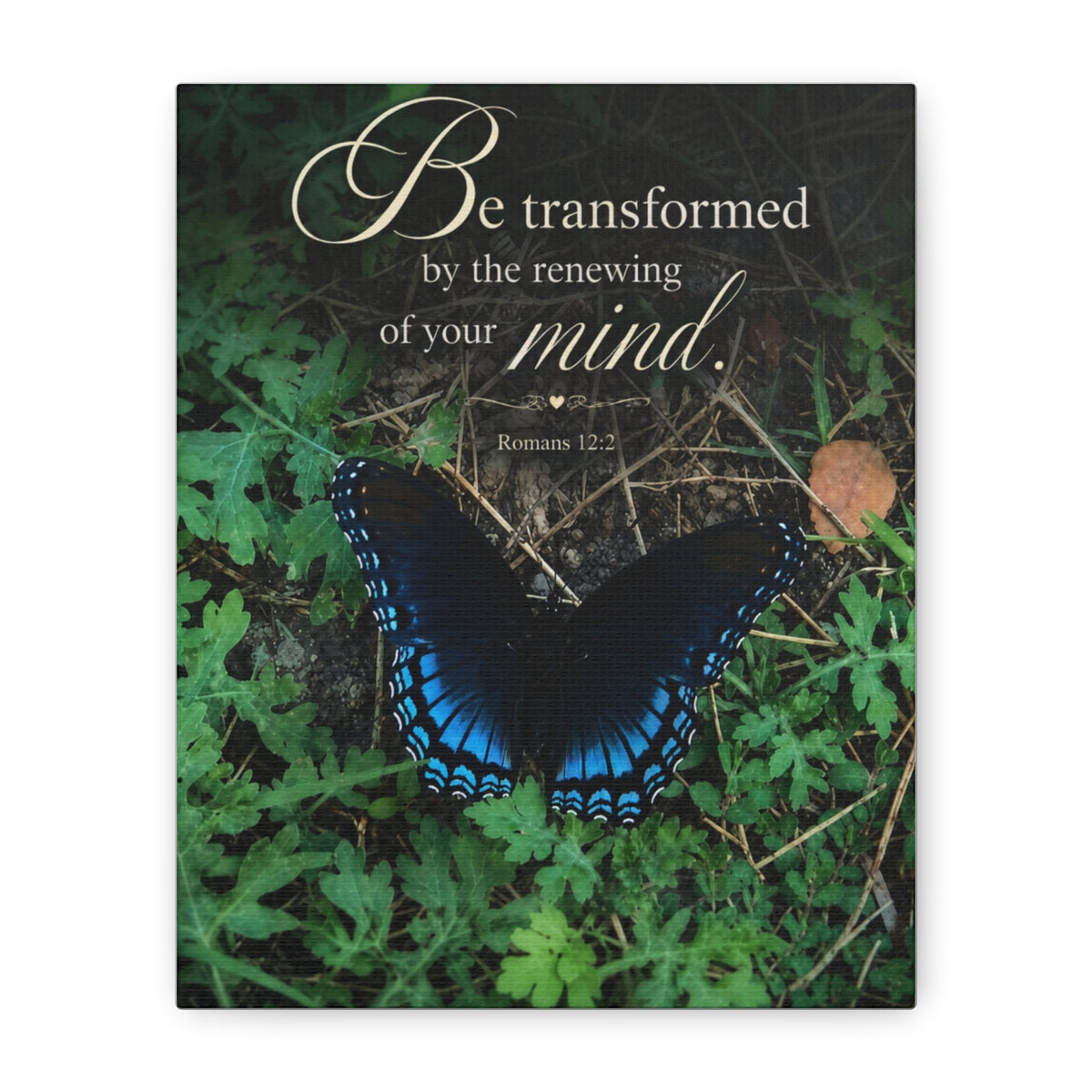 Be Transformed - Canvas