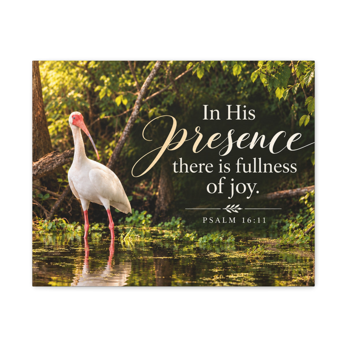 In His Presence Ibis - Canvas