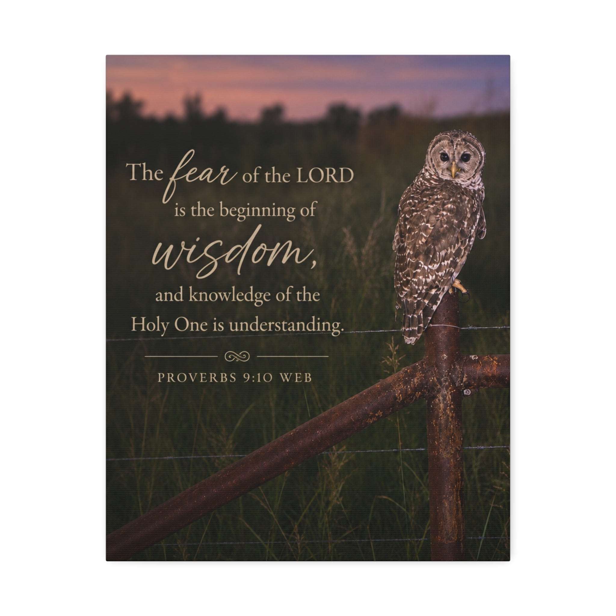 Wise Owl | Canvas
