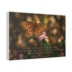 Orange Butterfly | Canvas