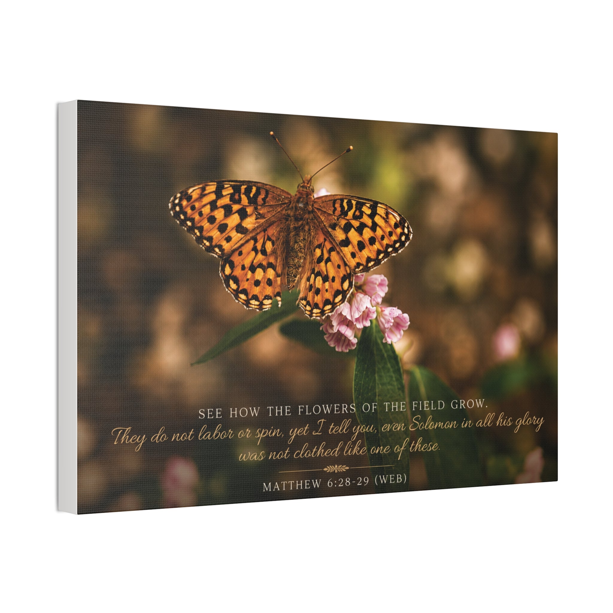 Orange Butterfly | Canvas