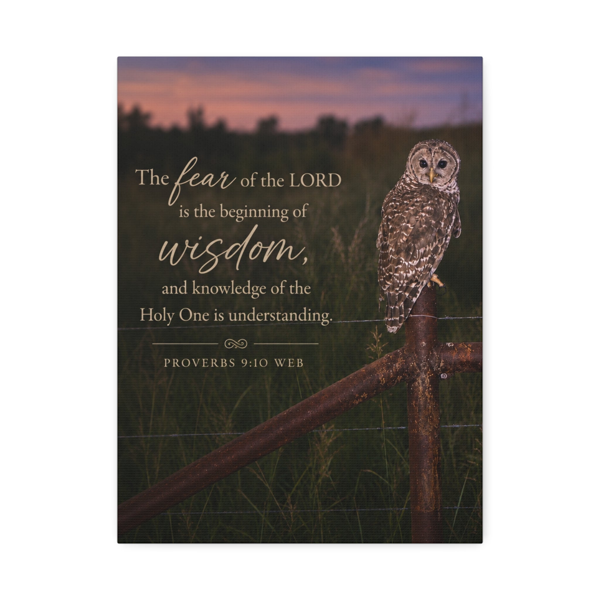 Wise Owl | Canvas