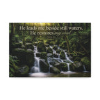 Rainforest Falls | Canvas