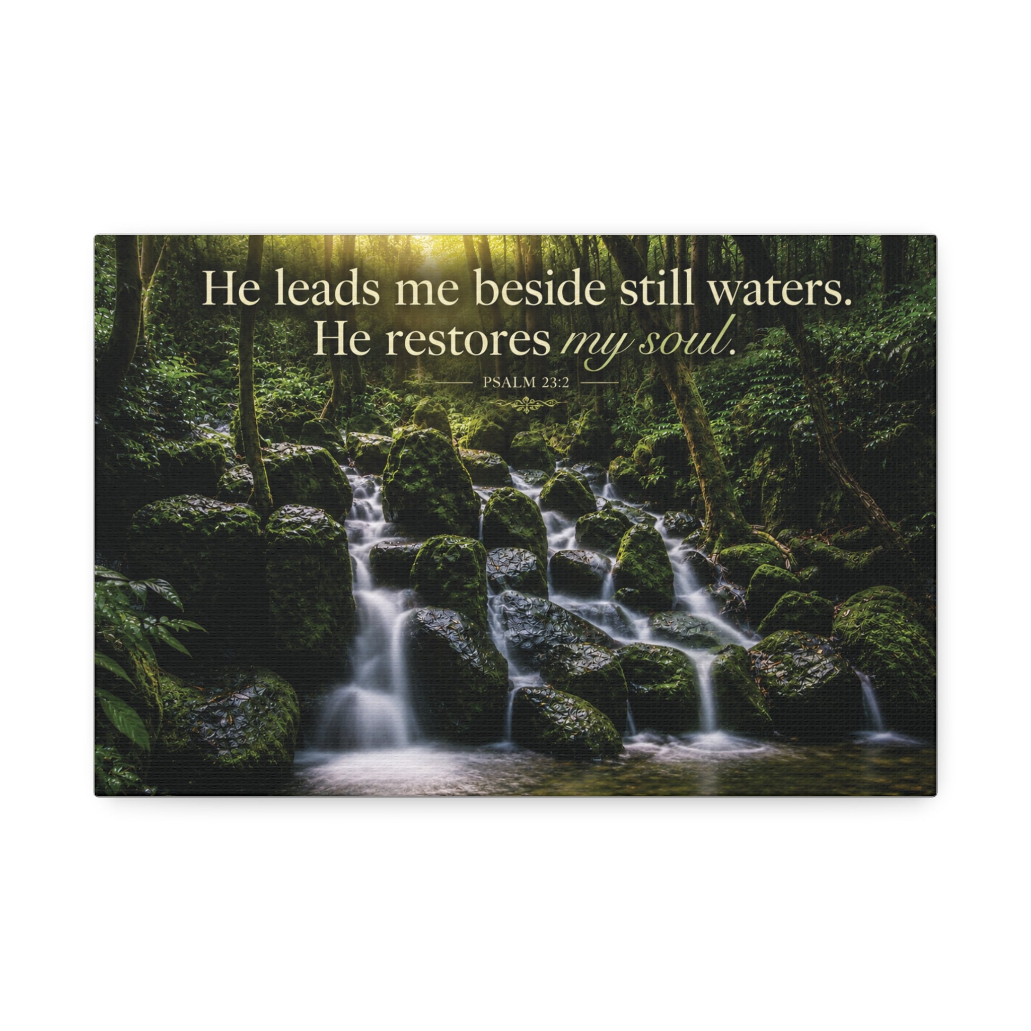 Rainforest Falls | Canvas