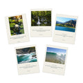 Multi-Design Greeting Cards (5-Pack)