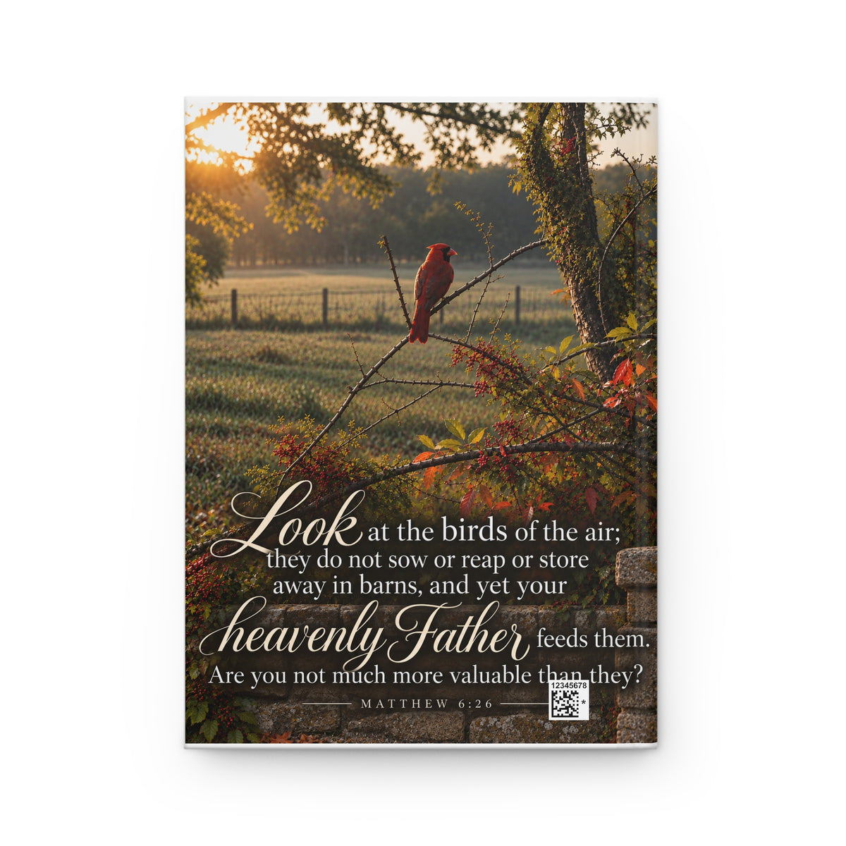 Fed by the Father Cardinal - Journal