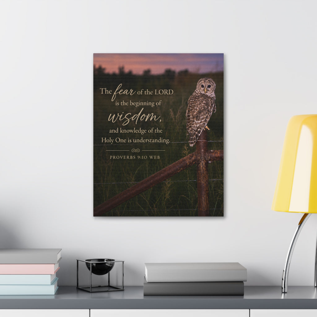 Wise Owl | Canvas