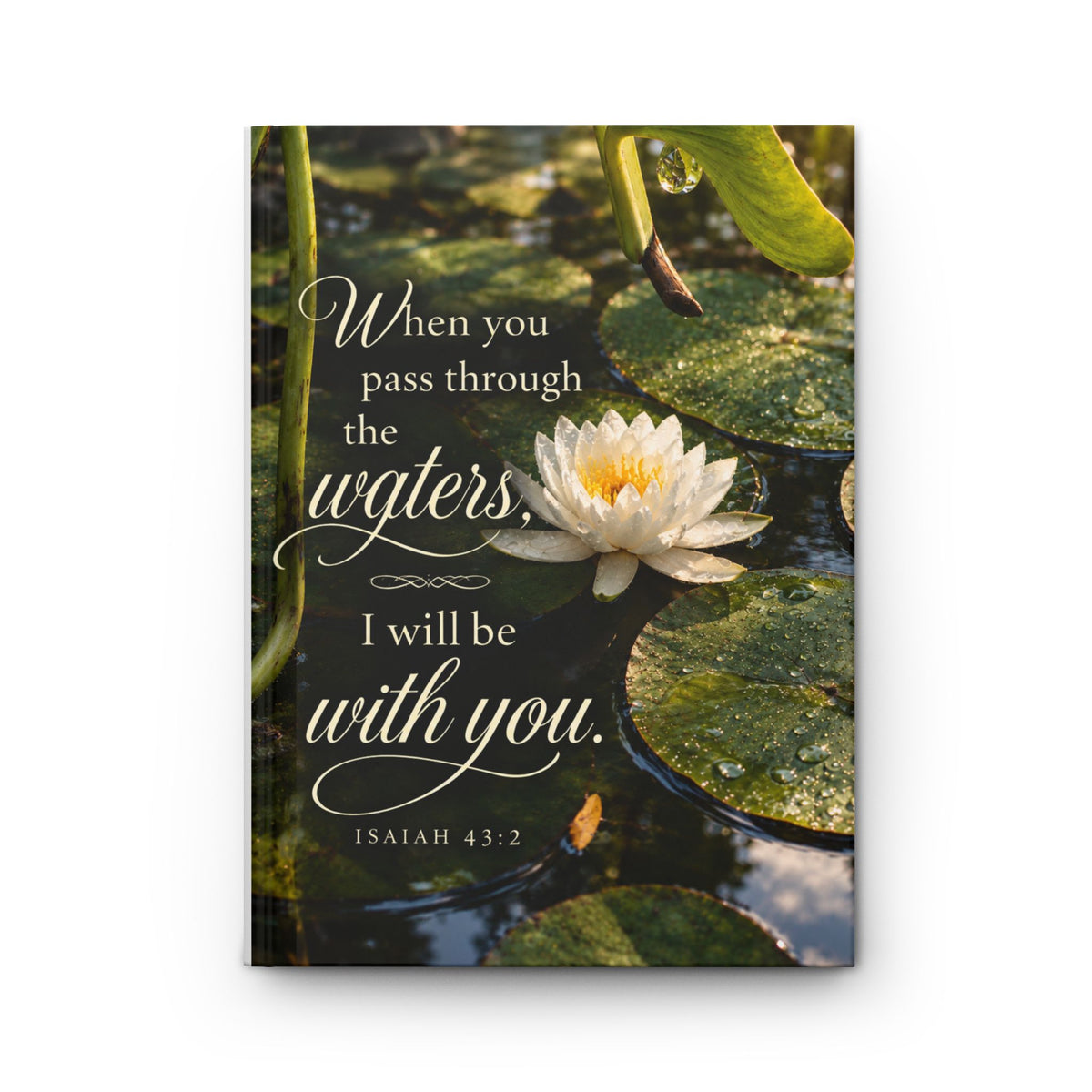 Through the Waters - Journal