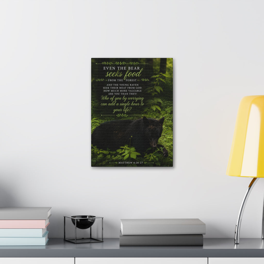 Bear | Canvas