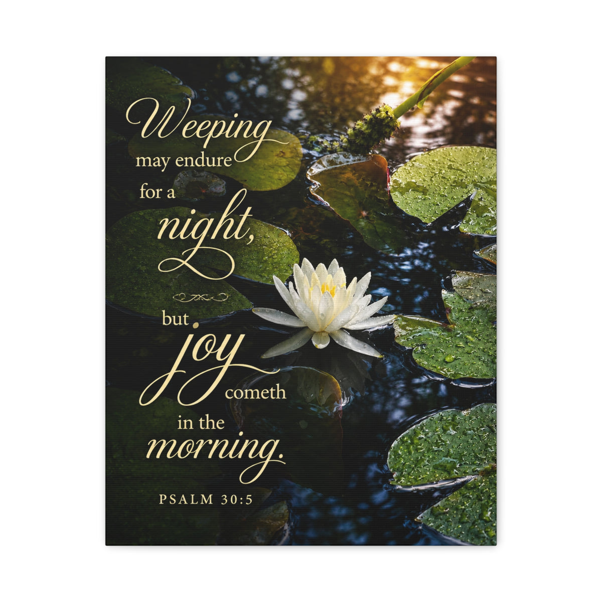 Joy in the Morning Lily - Canvas