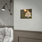 magnolia | Poster