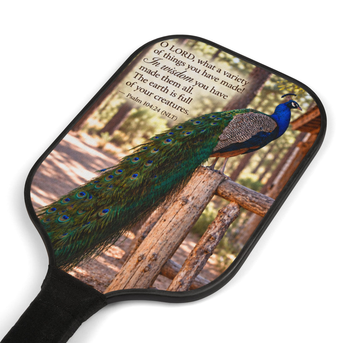 Made Them All - Pickleball Set