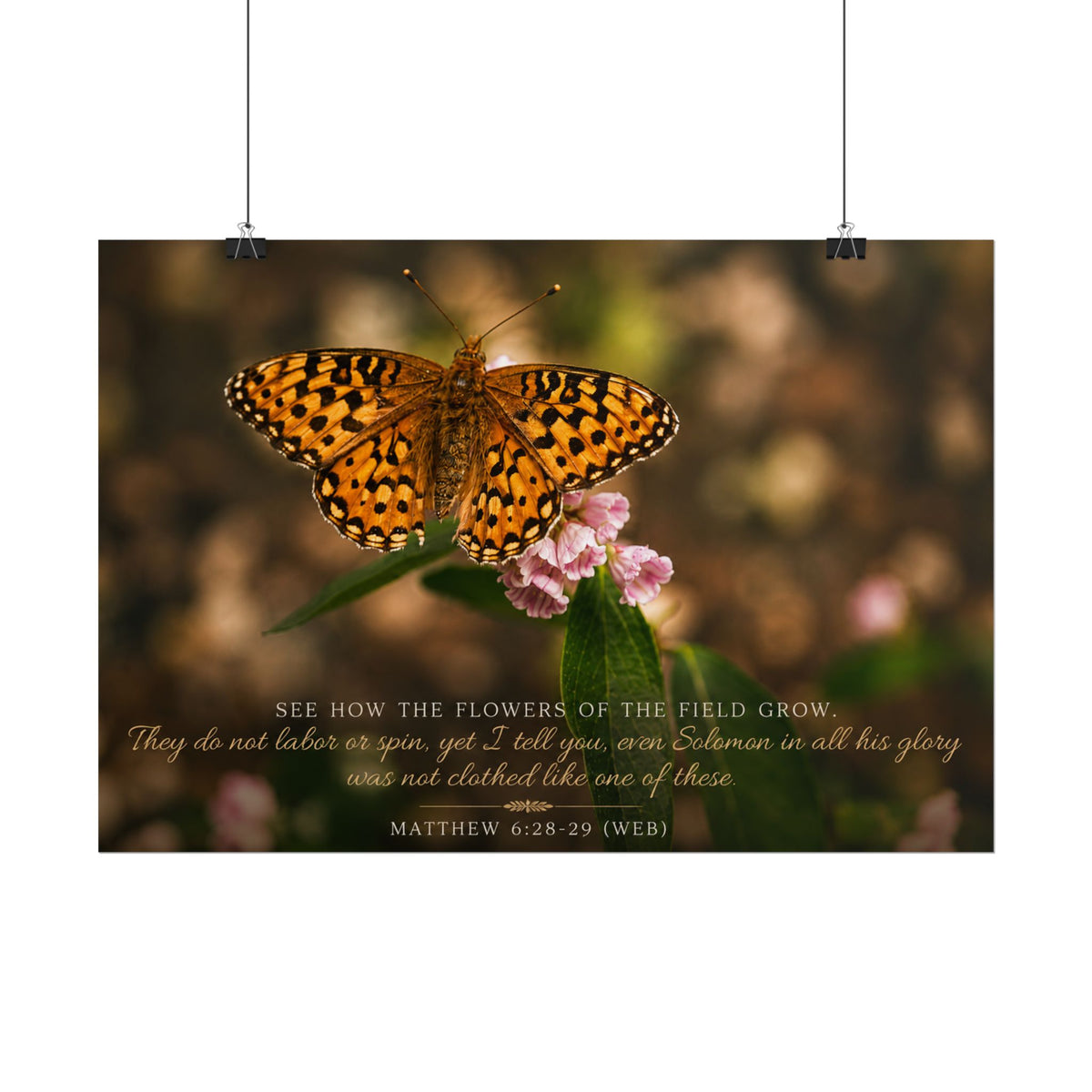 Consider the Flowers - Poster
