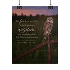 Wise Owl | Poster