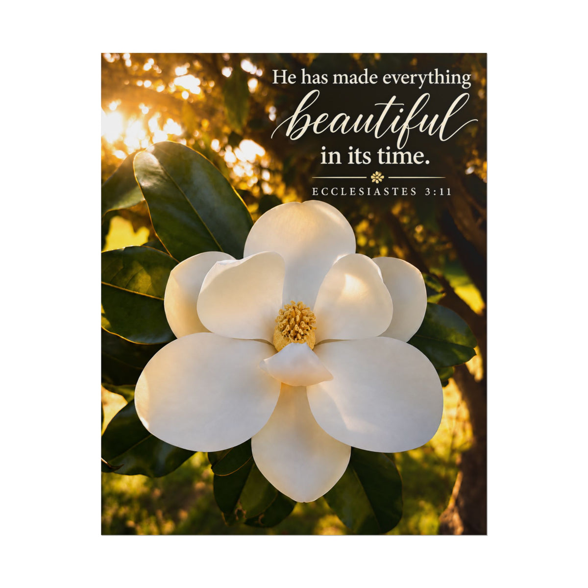 Made Beautiful - Poster