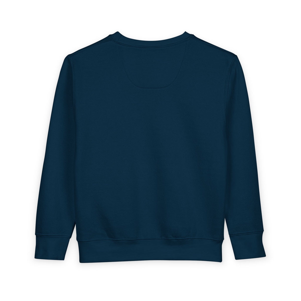Toddler Sweatshirt - 'Let Everything That Has Breath Praise the Lord' Cute Dinosaur Bible Verse Crewneck