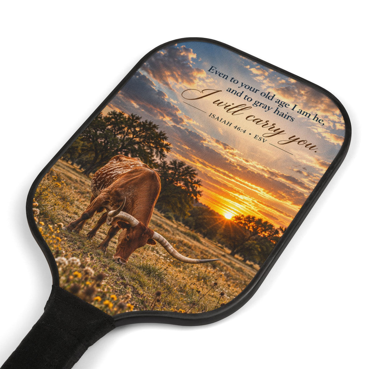 Carried - Pickleball Set