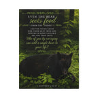 Bear | Canvas