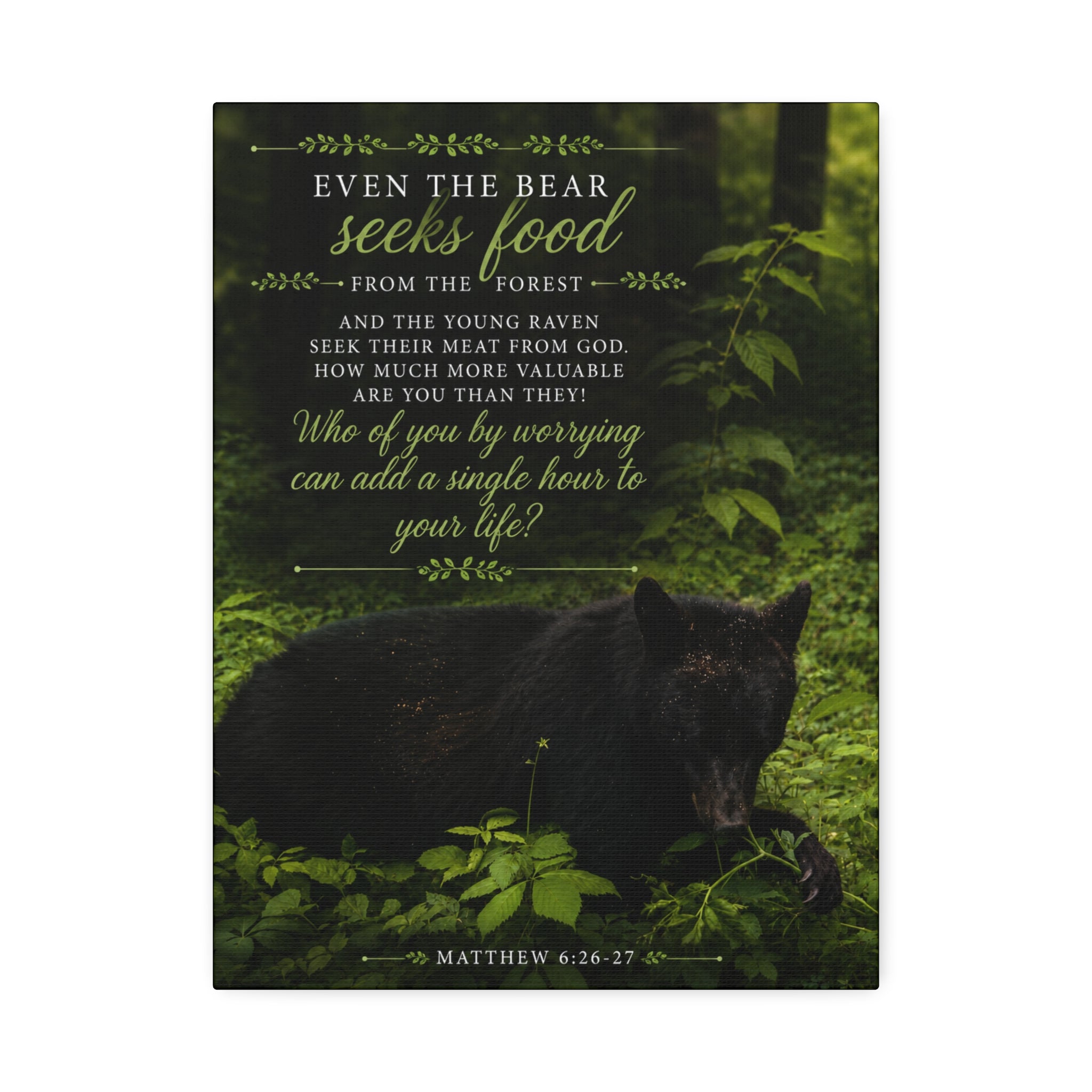 Bear | Canvas