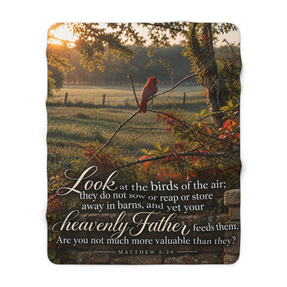 Fed by the Father Cardinal - Blanket