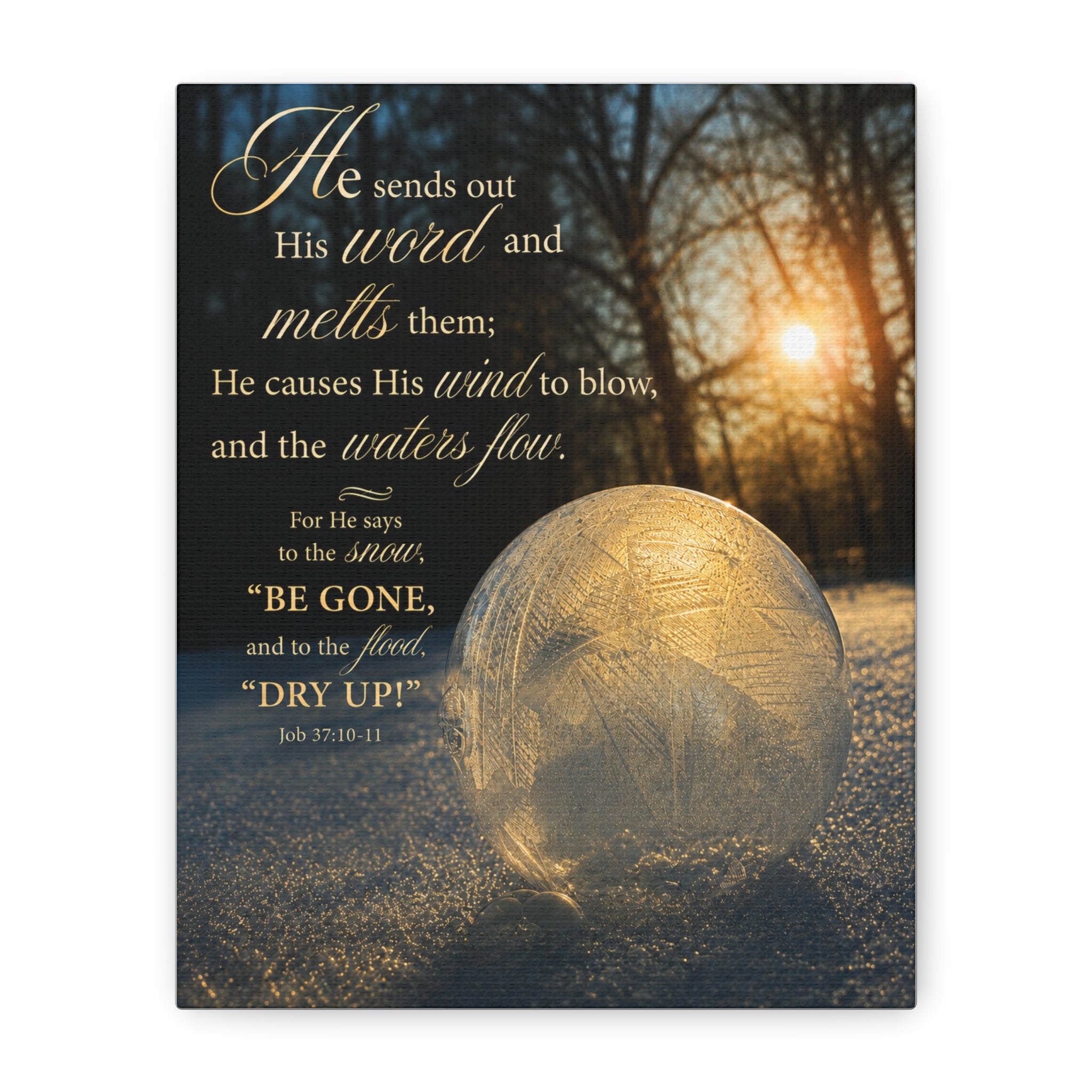 Ice Bubble
