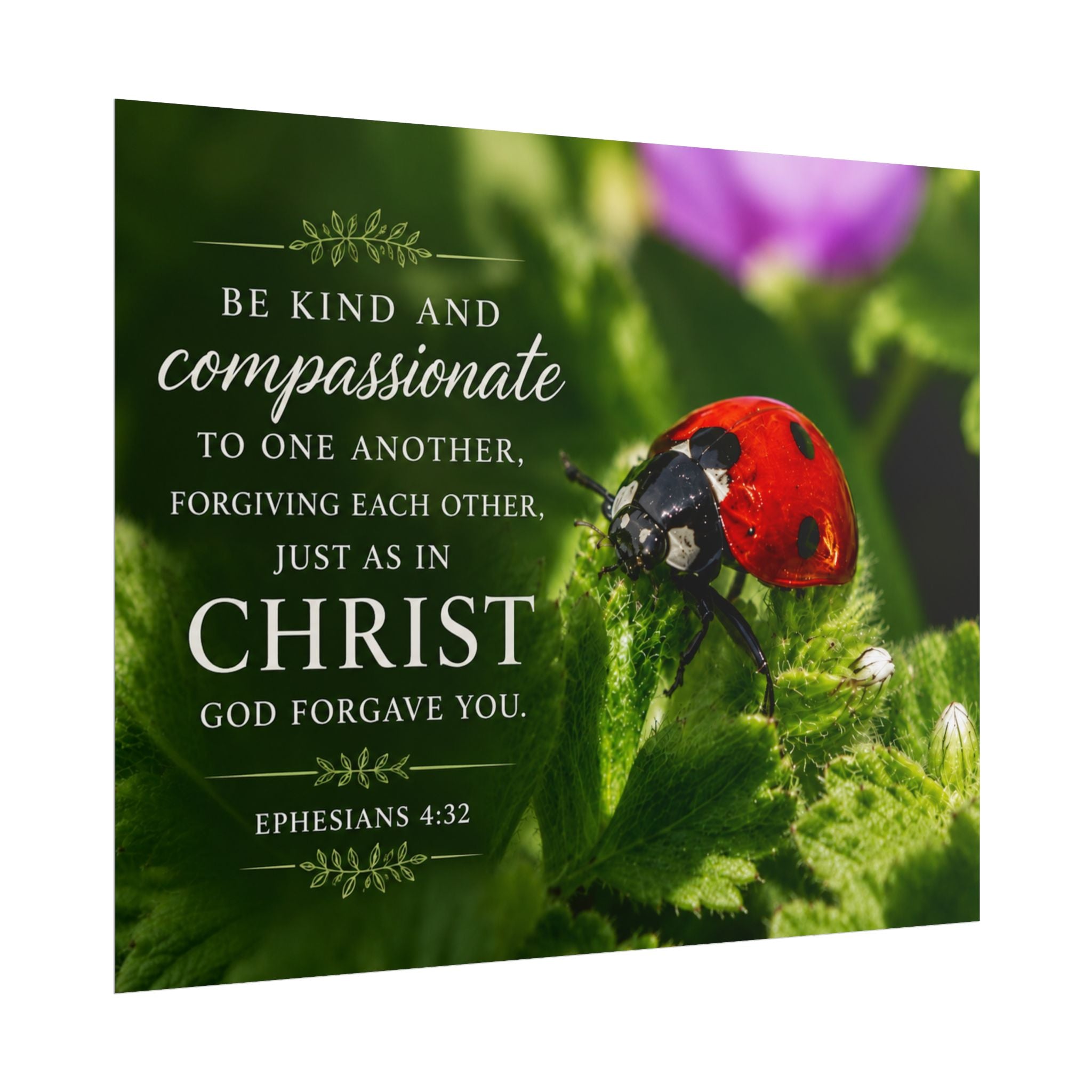 ladybug | Poster