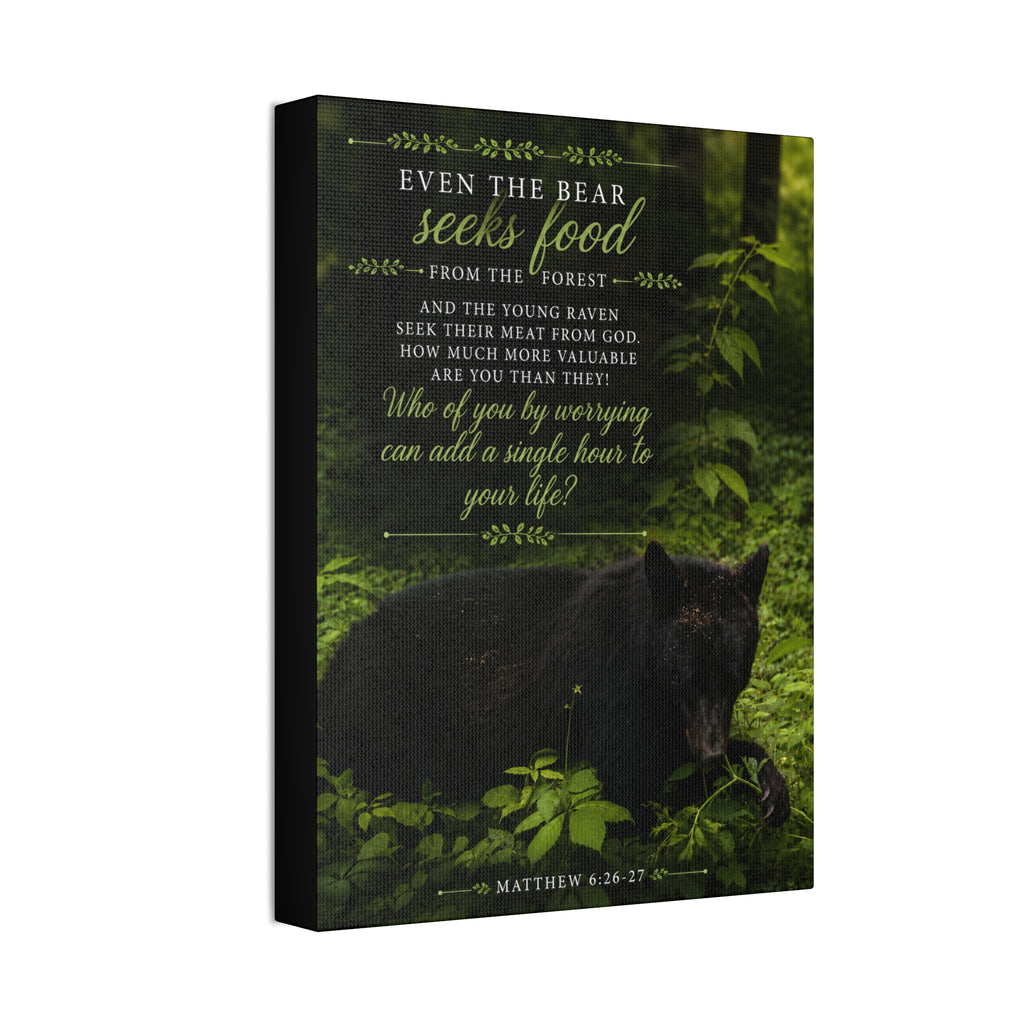 Bear | Canvas