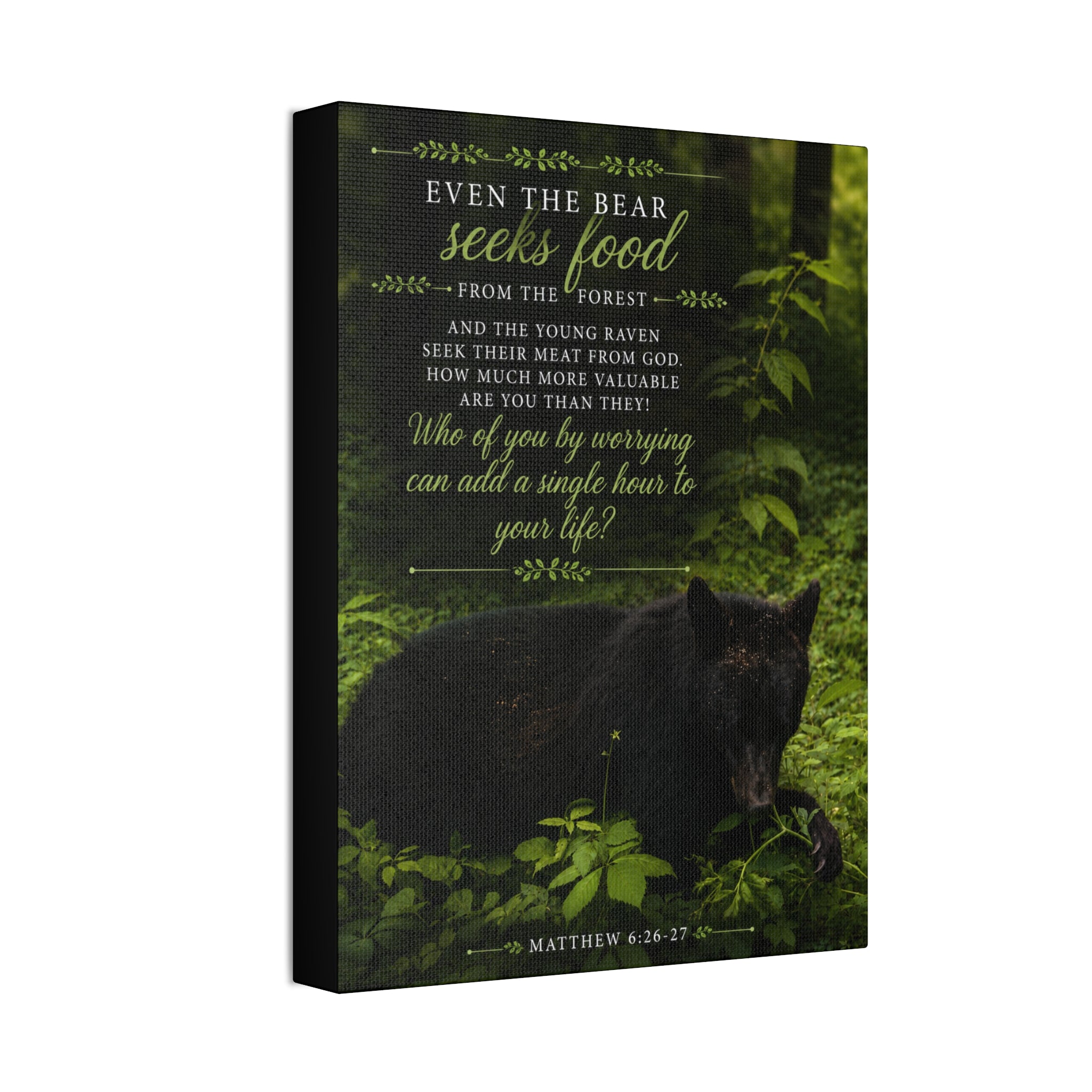 Bear | Canvas