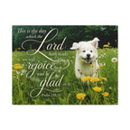 Rejoice!- Canvas