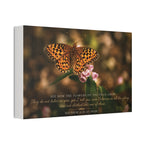 Orange Butterfly | Canvas
