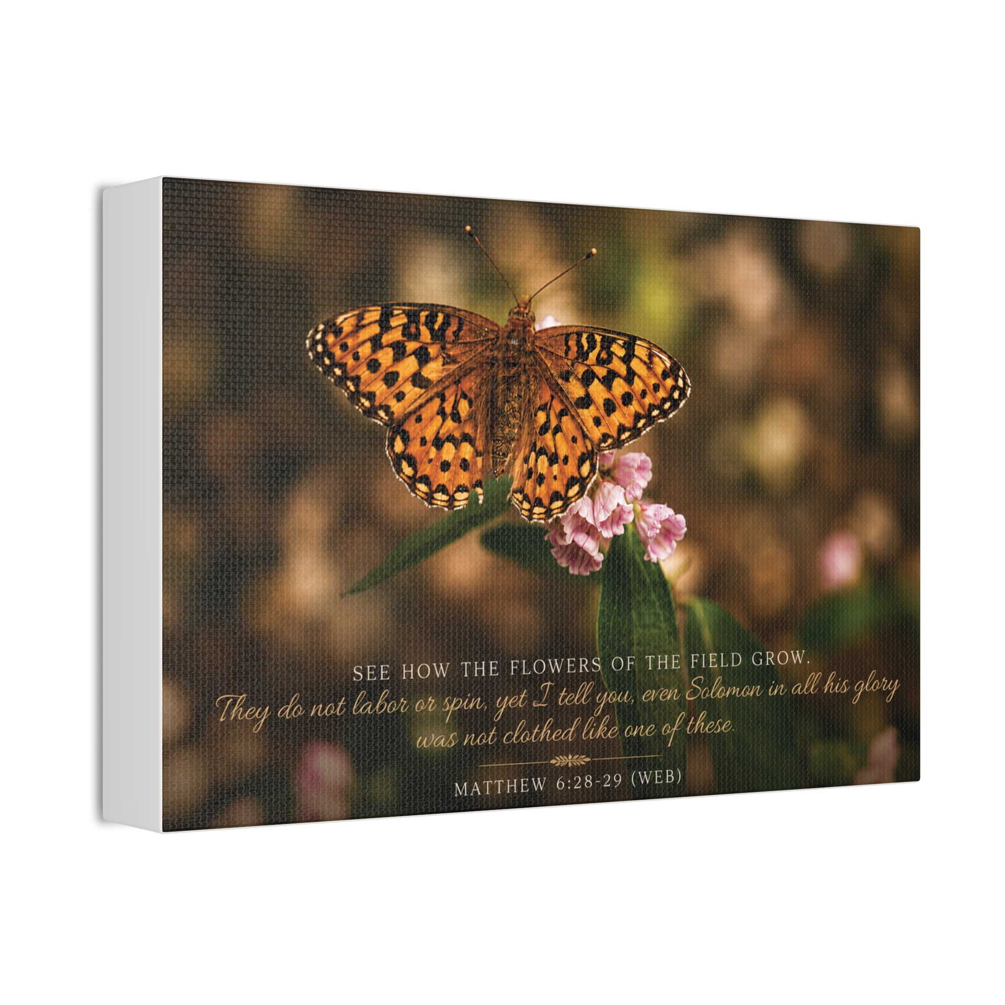Orange Butterfly | Canvas
