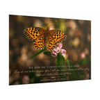 Orange Butterfly | Poster