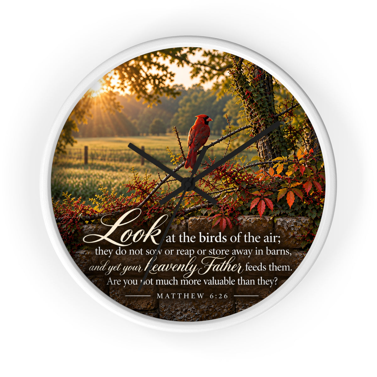 Fed by the Father Cardinal - Clock