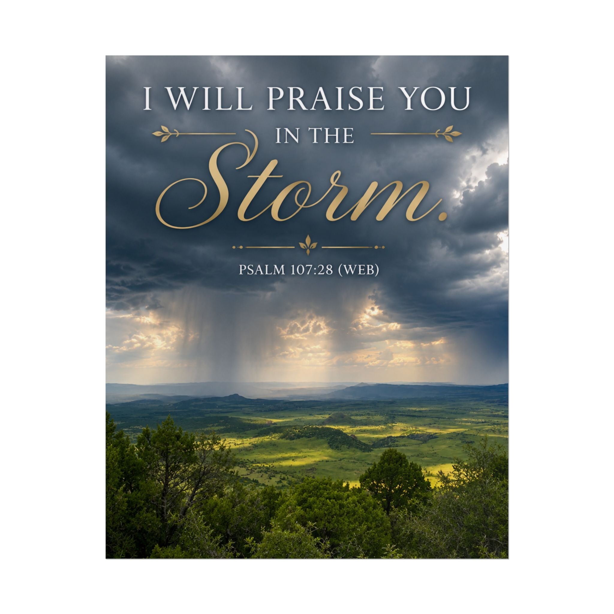 Storm | Poster