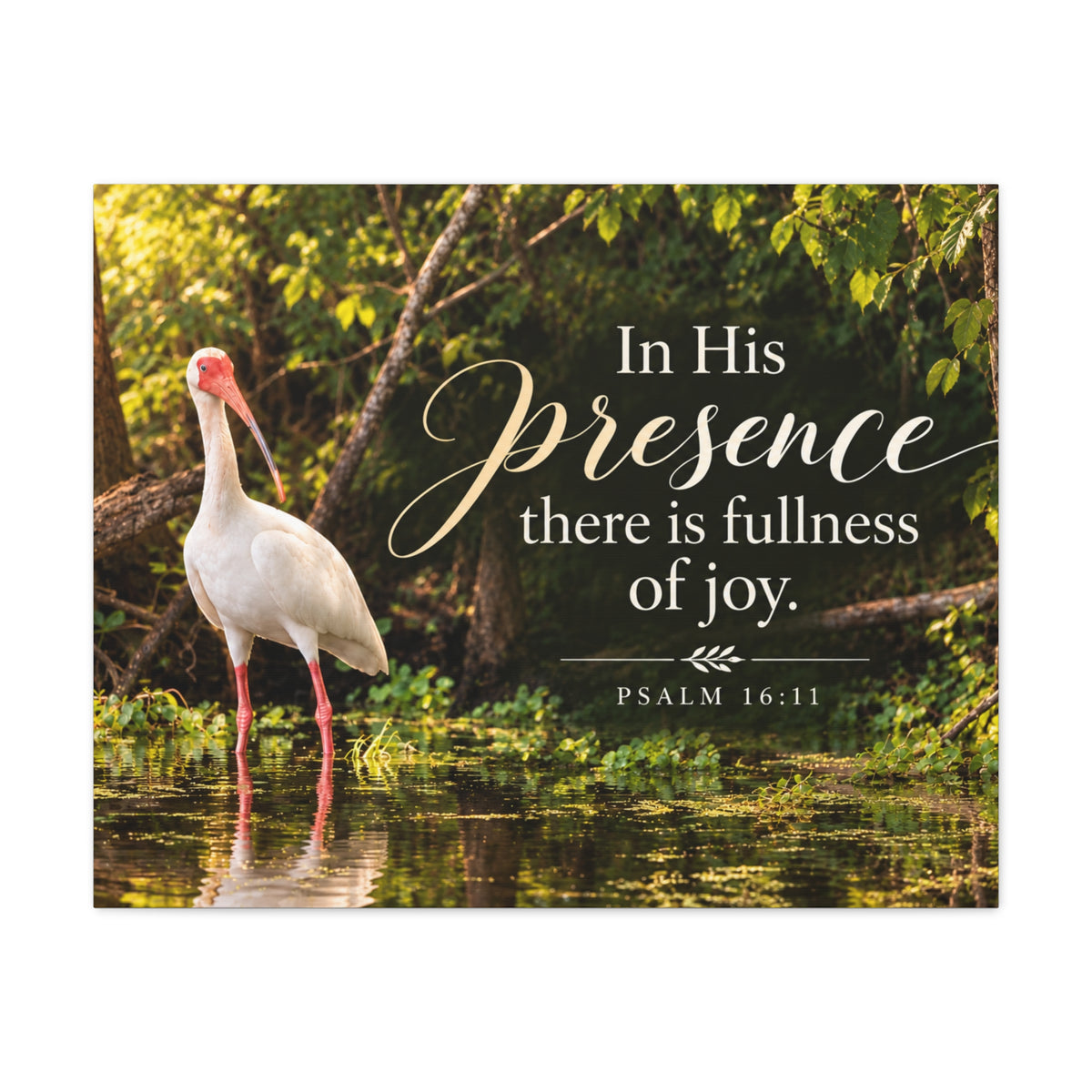 In His Presence Ibis - Canvas