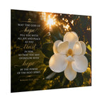 magnolia | Poster