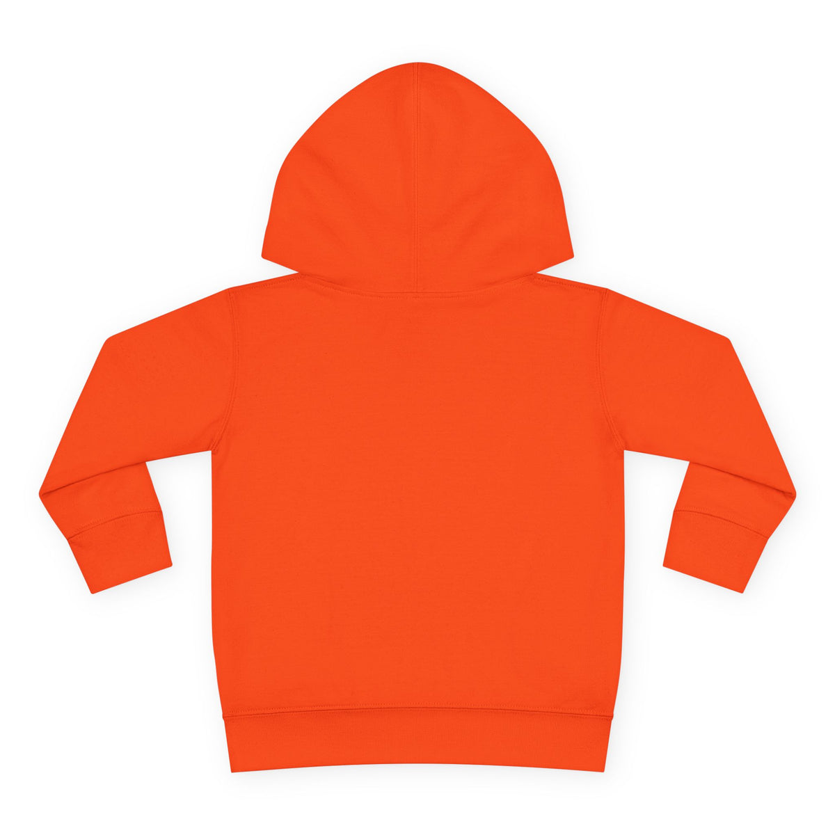 Toddler Hoodie - "Small But Mighty" Dino Pullover