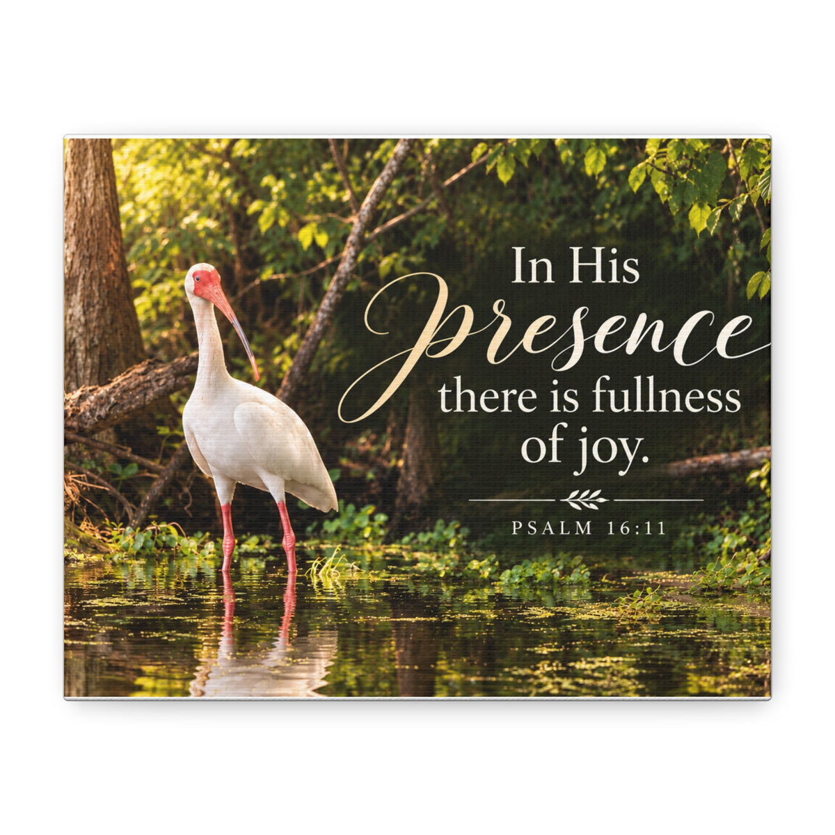 In His Presence Ibis - Canvas