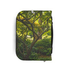 Light to my Path - Bible Cover