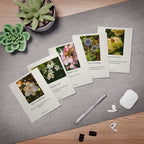 Inspirational Flower Greeting Cards 5-Pack – Sympathy, Love & Encouragement