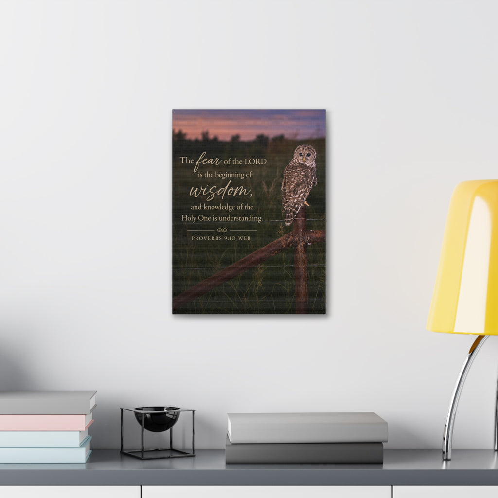 Wise Owl | Canvas