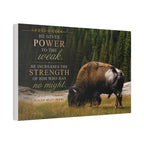 Strength Bison | Canvas