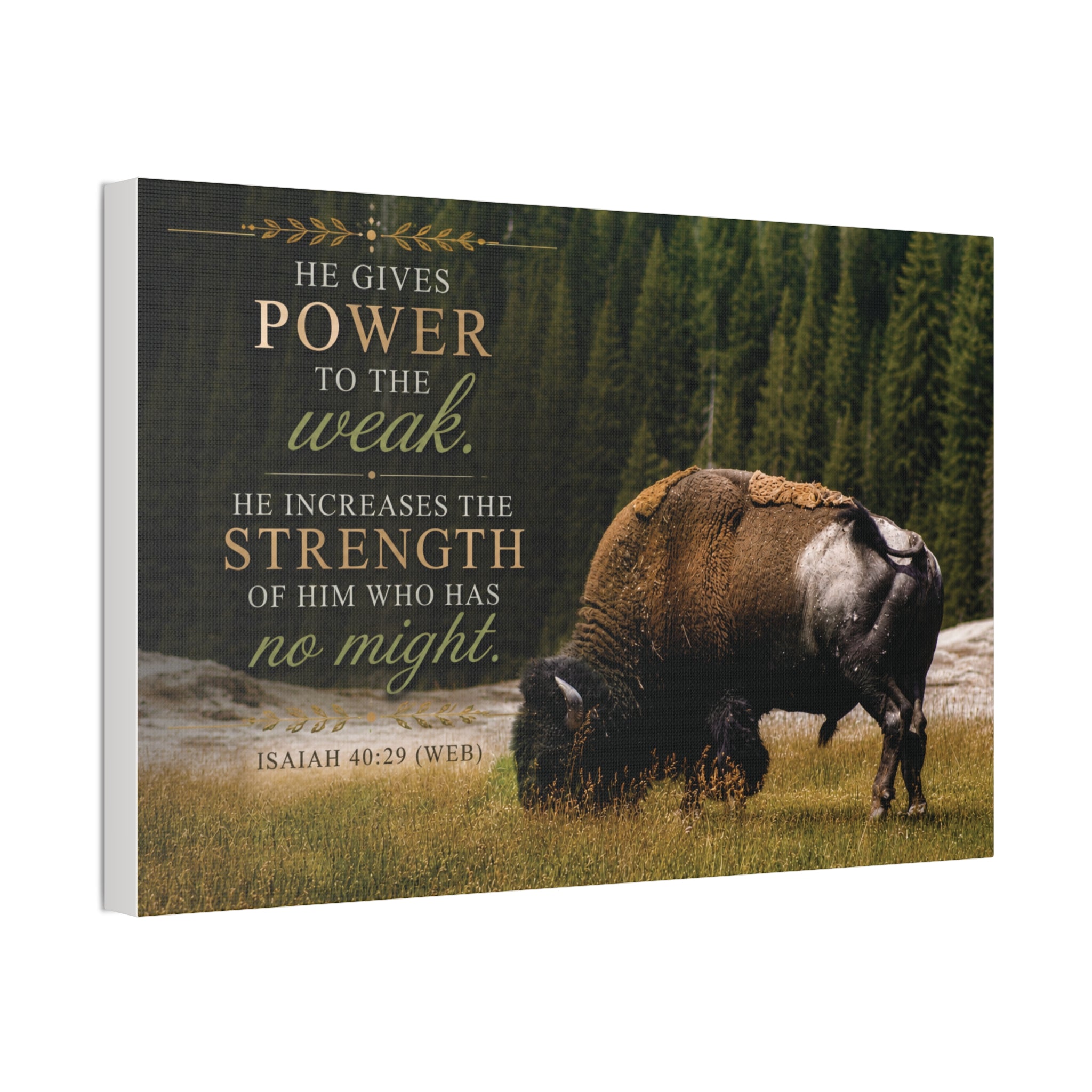 Strength Bison | Canvas