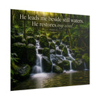 Rainforest Falls | Poster